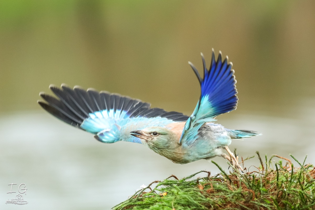 20211023 AK6I0074 insta